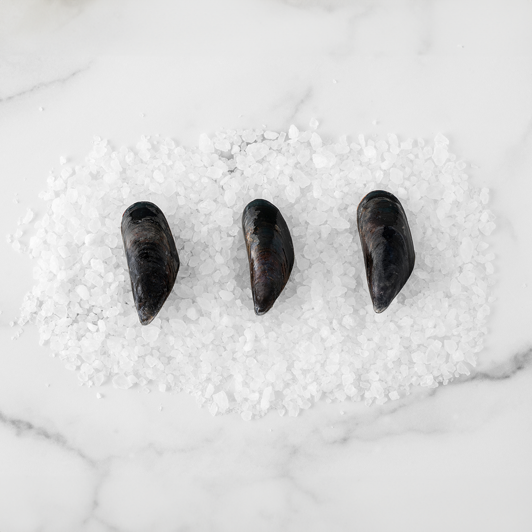 Penn Cove Mussels-Bulk