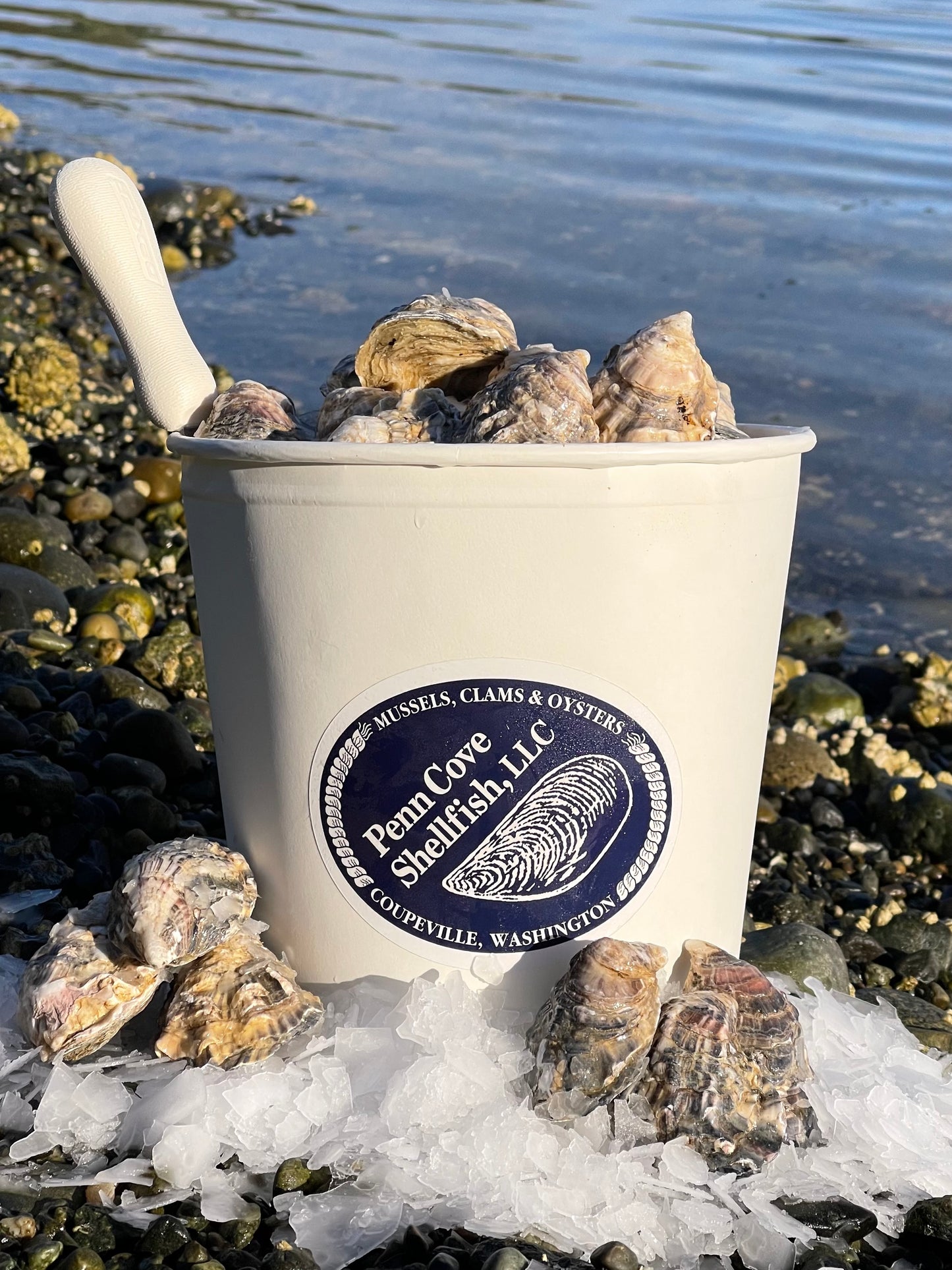 OYSTER RUN 2026 Go Shuck Ur Self Bucket Pre Order