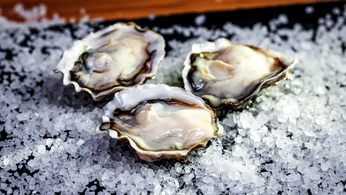 OYSTER RUN 2026 Go Shuck Ur Self Bucket Pre Order