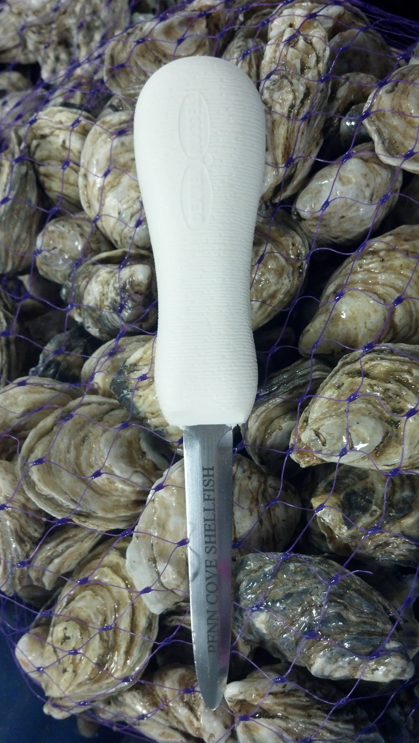 Oyster Run 2026 Go Shuck Ur-Self Bucket- Pre Order